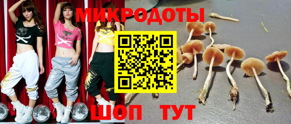 Галлюциногенные грибы Magic Shrooms  Вход с VPN  Чапаевск 